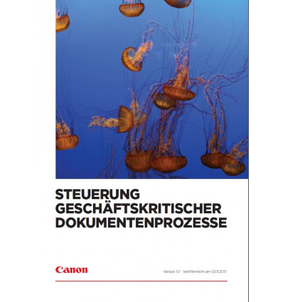 Steuerung geschaeftskritischer Dokumentenprozesse, Datenblatt