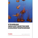 Steuerung geschaeftskritischer Dokumentenprozesse, Datenblatt